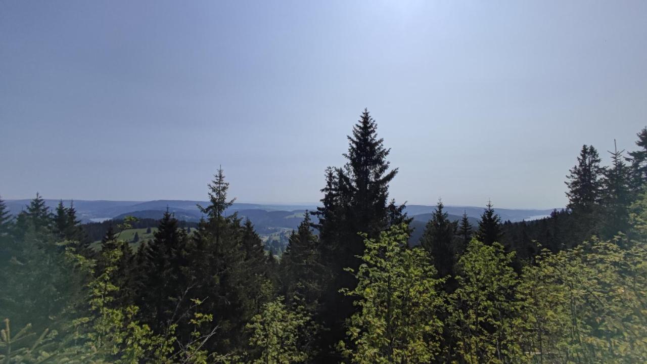Appartement Am Berg à Feldberg  Extérieur photo